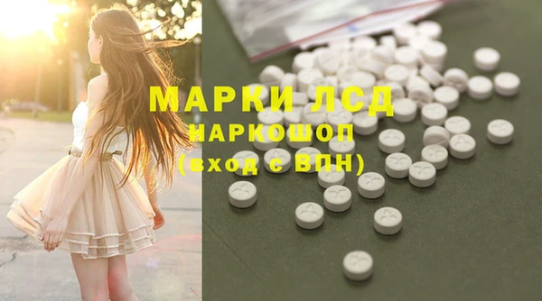гашик Майский