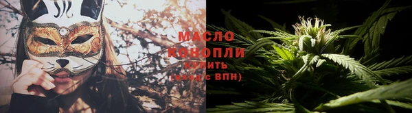 гашик Майский