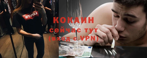 гашик Майский