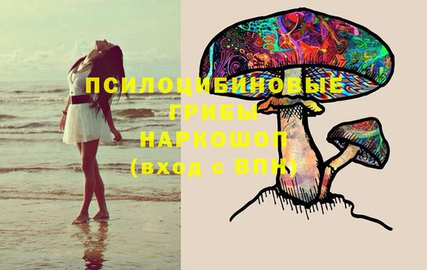 шишки Новодвинск