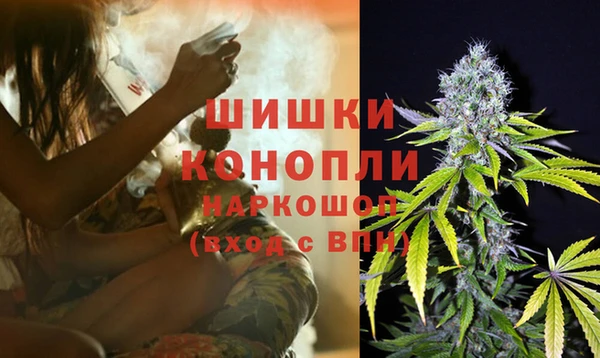 гашик Майский