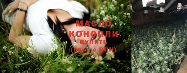 гашик Майский