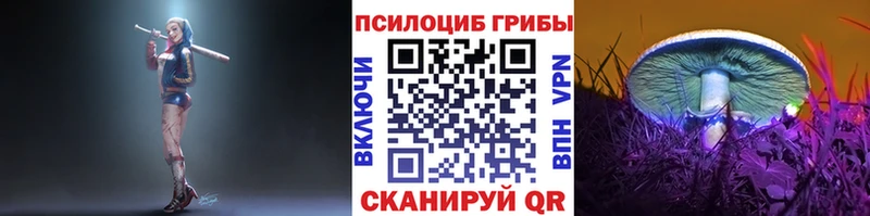 Псилоцибиновые грибы ЛСД Талица